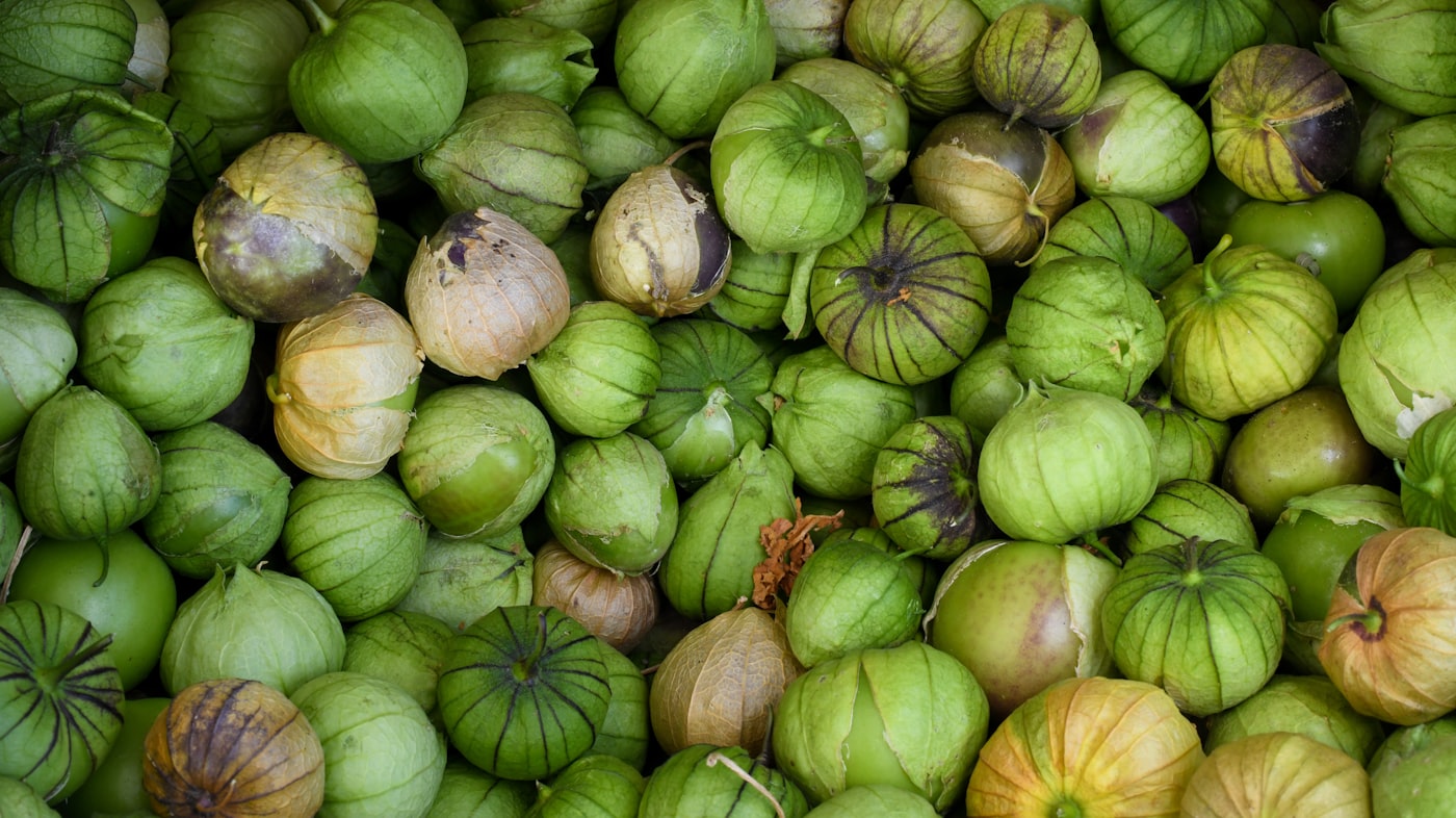 Cuánto tarda una tomatera en dar tomates (de la semilla a la cosecha)